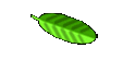 Bestellung