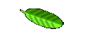 Produkte